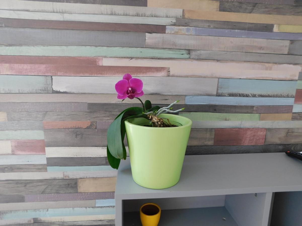 Tina Apartman Prnjavor Luaran gambar